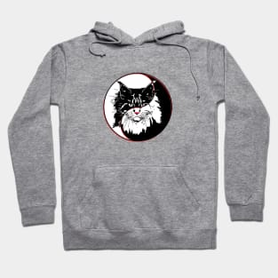 yin yang balance harmony design eastern philosophy cat Hoodie